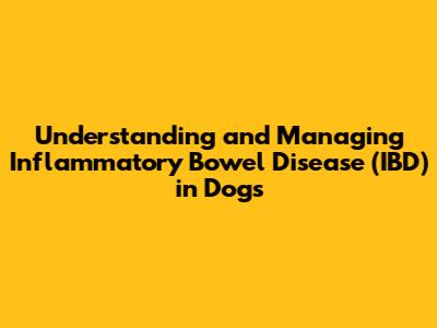 Understanding and Managing Inflammatory Bowel Disease (IBD) in Dogs