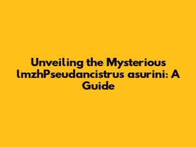 Unveiling the Mysterious lmzhPseudancistrus asurini: A Guide