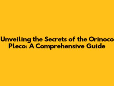 Unveiling the Secrets of the Orinoco Pleco: A Comprehensive Guide