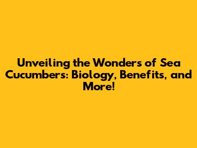 Unveiling the Wonders of Sea Cucumbers: Biology, Benefits, and More!