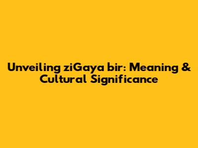 Unveiling ziGaya bir: Meaning & Cultural Significance