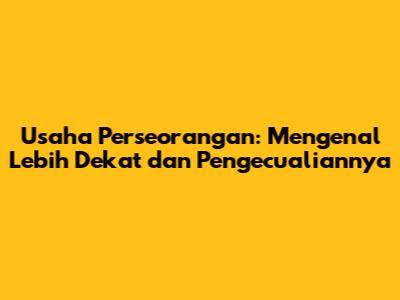 Usaha Perseorangan: Mengenal Lebih Dekat dan Pengecualiannya