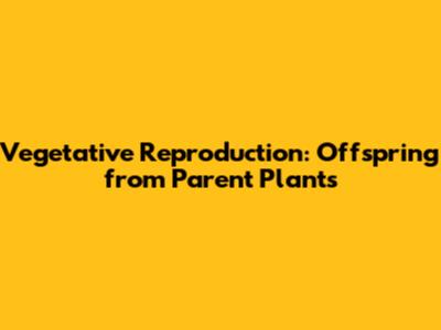 Vegetative Reproduction: Offspring from Parent Plants
