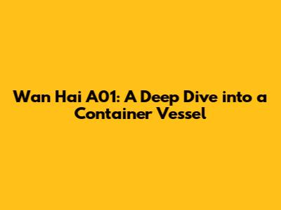 Wan Hai A01: A Deep Dive into a Container Vessel