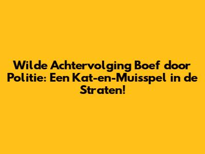 Wilde Achtervolging Boef door Politie: Een Kat-en-Muisspel in de Straten!