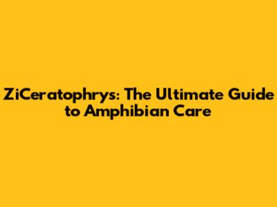 ZiCeratophrys: The Ultimate Guide to Amphibian Care